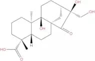 Pterisolic acid F