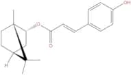 Biondinin C