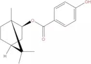 Isotschimgin