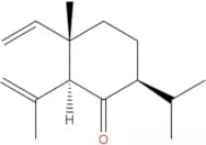 Shyobunone