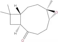 Kobusone
