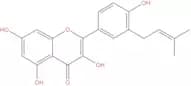 Isolicoflavonol