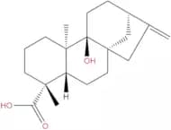 Pterokaurene L3