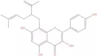 8-Lavandulylkaempferol