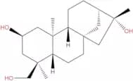 Pterokaurane R