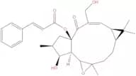 Jolkinol A