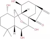 Lasiodonin