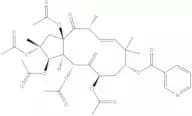 Jatrophane 1