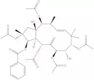 Jatrophane 6