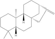 (-)-Phyllocladene