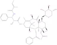 7-Xylosyl-10-deacetyltaxol B