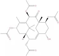 Taxin B