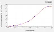 Sheep sIgA(Secretory Immunoglobulin A) ELISA Kit