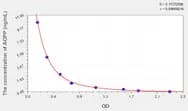 Horse AOPP(Advanced Oxidation Protein Products) ELISA Kit