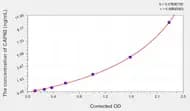 Rat CAPN2(Calpain 2, Large Subunit) ELISA Kit