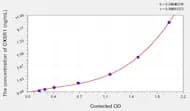 Human OXSR1(Oxidative-Stress Responsive 1) ELISA Kit