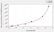 Rat CASP4(Caspase 4) ELISA Kit