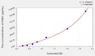 Rat ERN1(Endoplasmic Reticulum To Nucleus Signalling 1) ELISA Kit