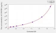 Human CYP27B1(Cytochrome P450 27B1) ELISA Kit