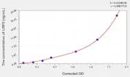 Human LRP5(Low Density Lipoprotein Receptor Related Protein 5) ELISA Kit