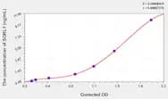 Human SORL1(Sortilin Related Receptor) ELISA Kit