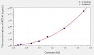 Rat ACTa1(Actin α 1, Skeletal Muscle) ELISA Kit