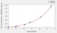 Mouse CDC42(Cell Division Cycle Protein 42) ELISA Kit