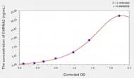 Rat CHRNA2(Neuronal Acetylcholine Receptor Subunit α-2) ELISA Kit