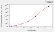 Dog NPY(Neuropeptide Y) ELISA Kit