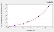 Human ZFP1(Zinc Finger Protein 1 Homolog) ELISA Kit