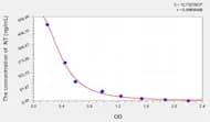NT(Nitrotyrosine) ELISA Kit