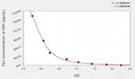 Sheep bEP(β-Endorphin) ELISA Kit