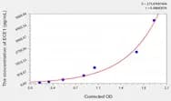 Rat ECE1(Endothelin Converting Enzyme 1) ELISA Kit