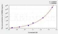 Mouse RXRβ(Retinoic Acid Receptor RXR-β) ELISA Kit