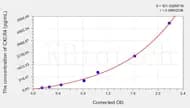 Cat CXCR4(Chemokine C-X-C-Motif Receptor 4) ELISA Kit