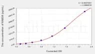 Rat RAB3A(Ras-Related Protein Rab-3A) ELISA Kit