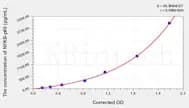 Rabbit NFκB-p65(Nuclear Factor κ B p65) ELISA Kit