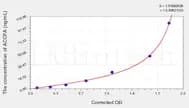 Mouse ACCPA(Anti-Cyclic Citrullinated Peptide Antibody) ELISA Kit