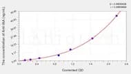 Mouse Anti-IAA(Anti-Insulin Autoantibody) ELISA Kit