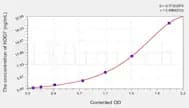 Rat HDGF(Hepatoma Derived Growth Factor) ELISA Kit