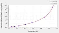 Human Rock1(Rho-associated protein kinase 1) ELISA Kit