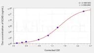 Rat SCXB(Scleraxis Homolog B) ELISA Kit