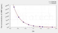 Rat cAMP(Cyclic Adenosine Monophosphate) ELISA Kit