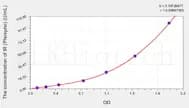 Mouse phospho-Insulin Receptor, β Subunit(pTyr1162/1163) ELISA Kit