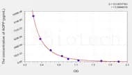 Rat AOPP(Advanced Oxidation Protein Products) ELISA Kit