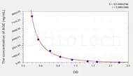 Rat AGE(Advanced Glycation End Product) ELISA Kit