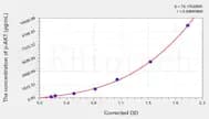 Human Phospho AKT S473 (p-AKT) ELISA Kit