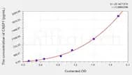 Pig CASP1(Caspase 1) ELISA Kit