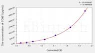 Human CCNE1(Cyclin E1) ELISA Kit