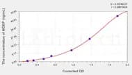 Rat MOBP(myelin associated oligodendrocyte basic protein) ELISA Kit